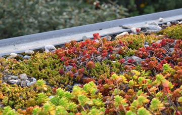 the cost of Taw Green green roof installation