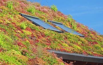 Taw Green living roof systems