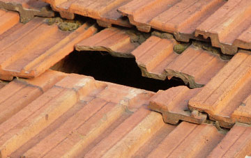 roof repair Taw Green, Devon